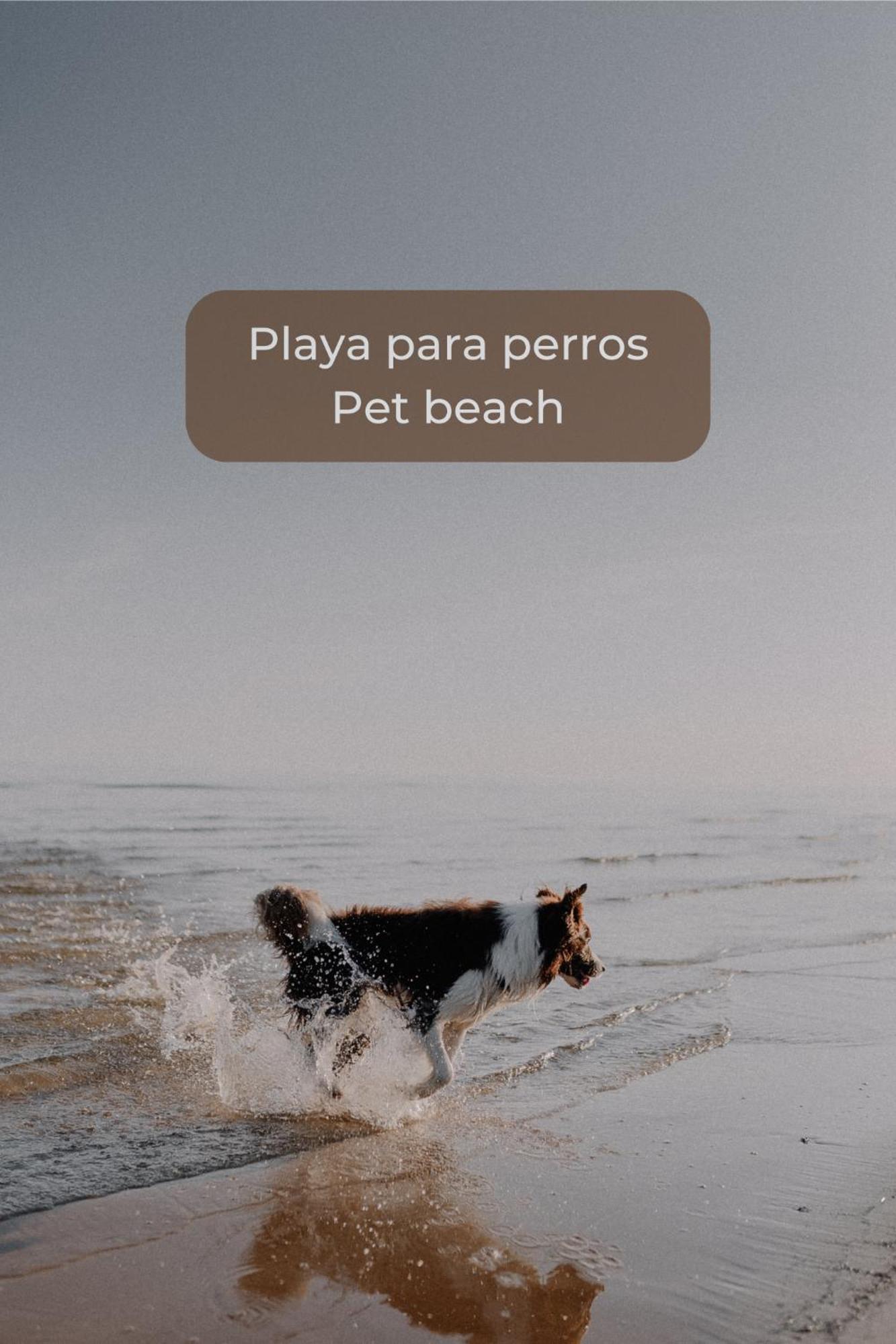 Canelita Con Piscina, Soleada Terraza Amplia Wifi Y Parking Corralejo Dış mekan fotoğraf